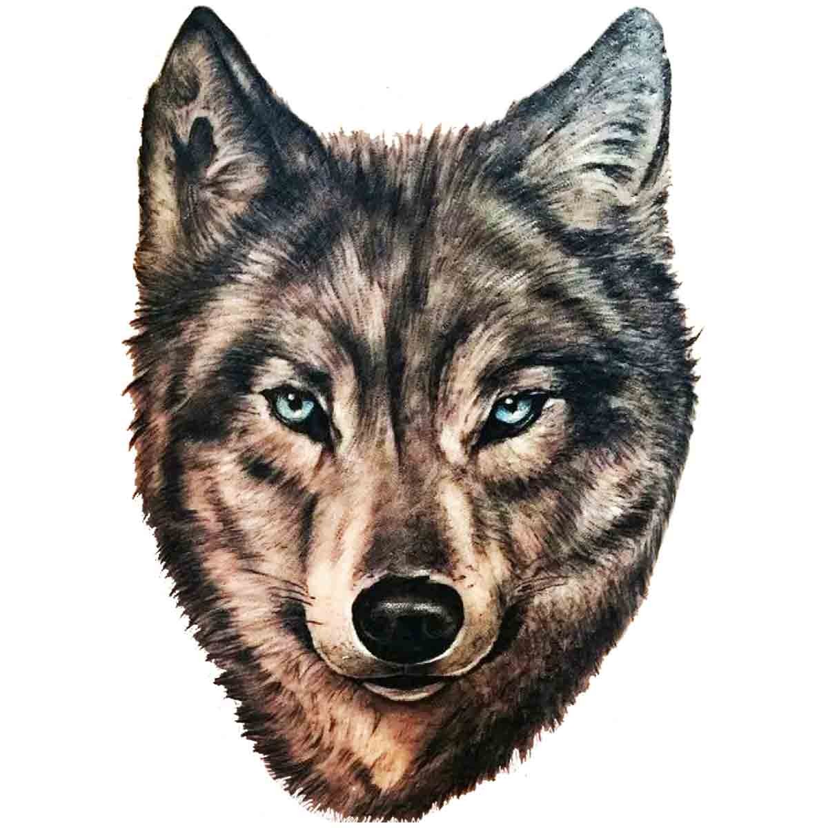 Tête de loup  Chien loup, Images loup, Loup